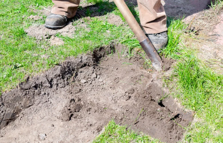 backyard excavation in brooklyn