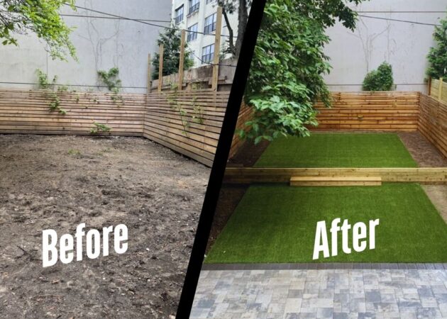 Backyard transformation